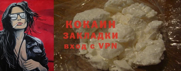 мет Инта