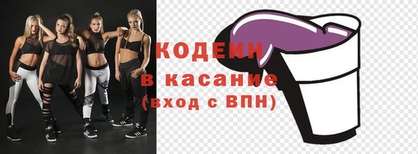 тгк Инсар