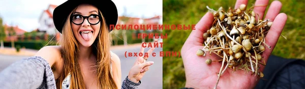 круглые Иннополис