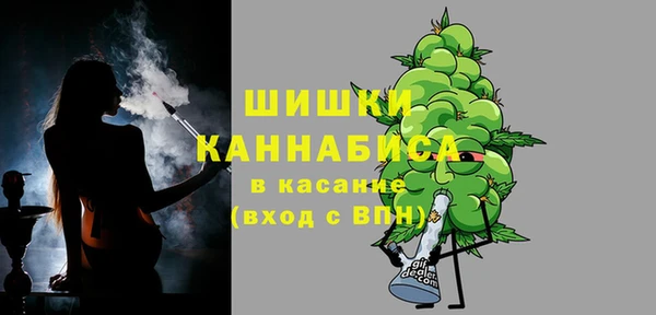 мет Инта