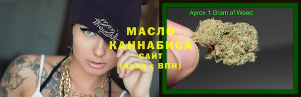 тгк Инсар