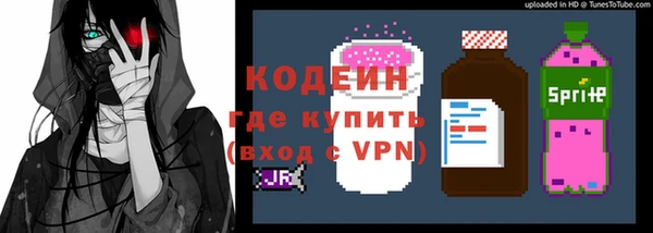 мет Инта