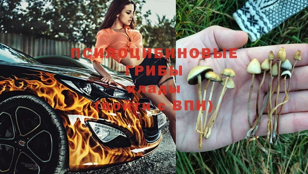 круглые Иннополис