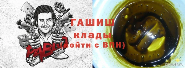 мет Инта
