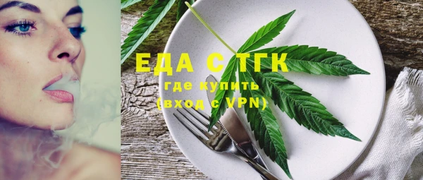 тгк Инсар