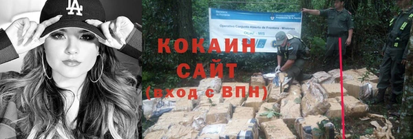 круглые Иннополис