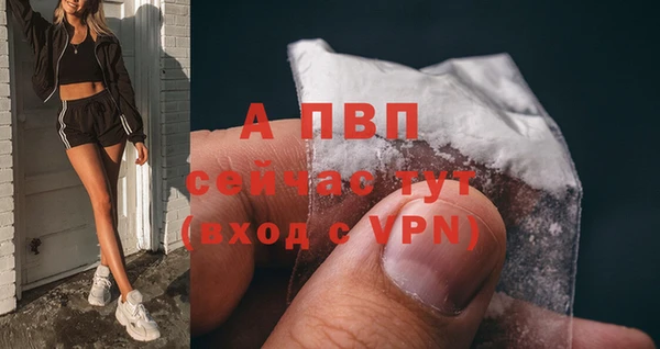 круглые Иннополис